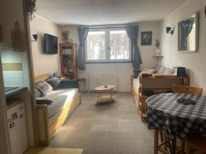 Studio chaleureux 25m2 100m du centre 3-4 personnes 3 adultes max